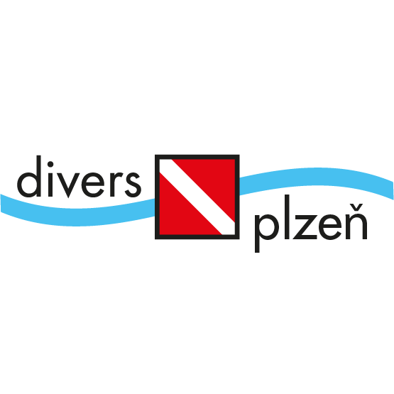 Logo tmave ctverec maly - Divers Direct Plzeň
